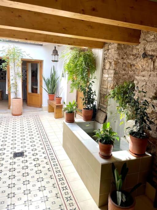 Apartamento En Casa Patio "Pan Y Conejo" Кордова Экстерьер фото
